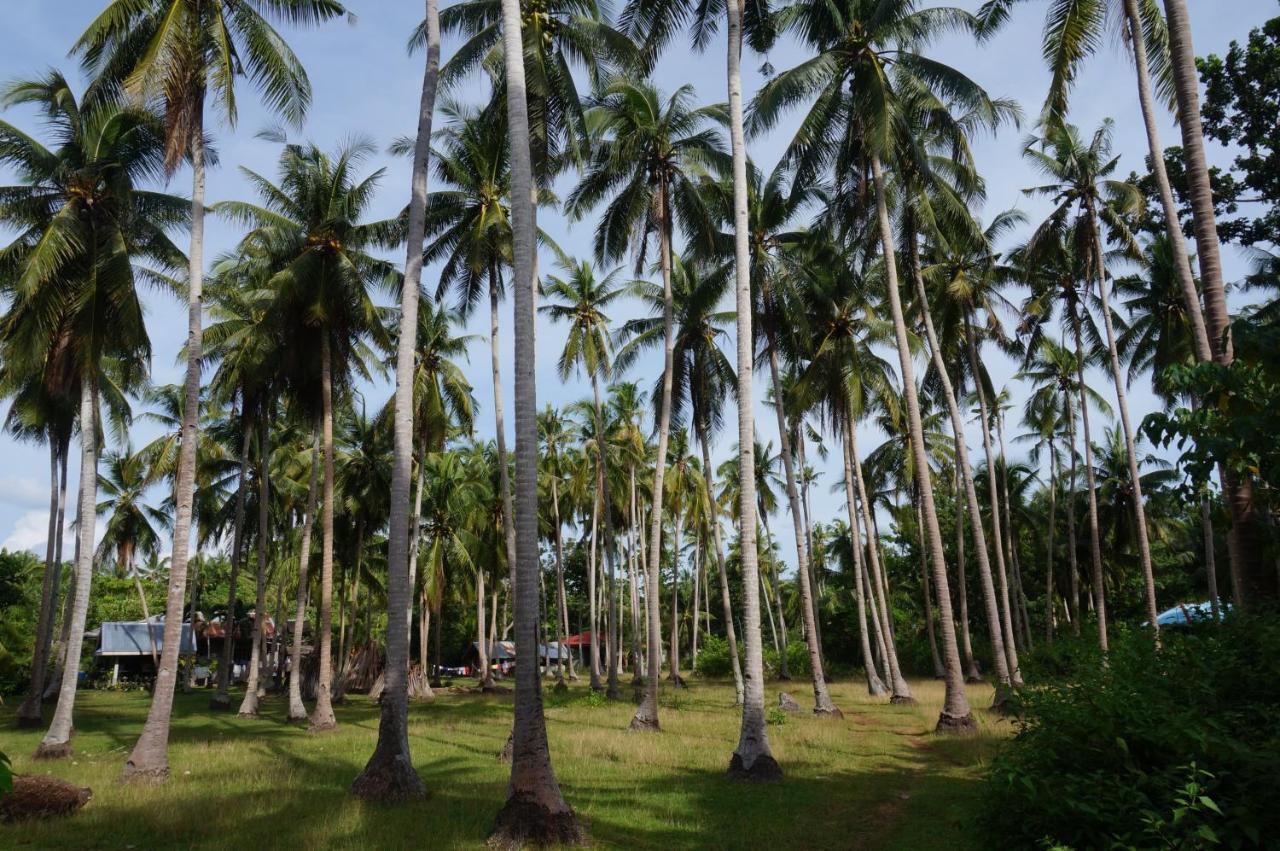 Peaceland Hostel Panglao Exteriör bild